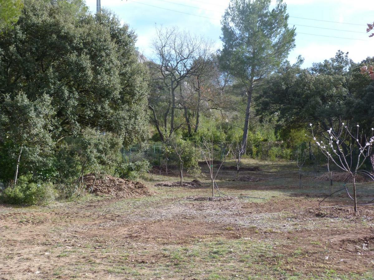 Les Cigales Alleins Exterior photo